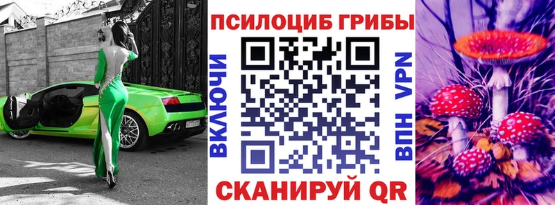 как найти закладки  Хвалынск  Псилоцибиновые грибы Cubensis 